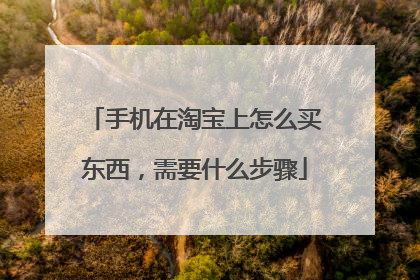 手机在淘宝上怎么买东西,需要什么步骤