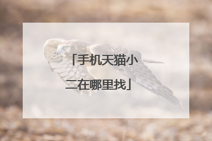 手机天猫小二在哪里找