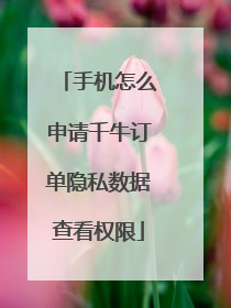 手机怎么申请千牛订单隐私数据查看权限