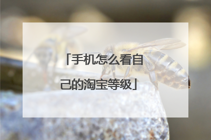 手机怎么看自己的淘宝等级