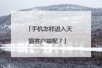 手机怎样进入天猫客户端呢？