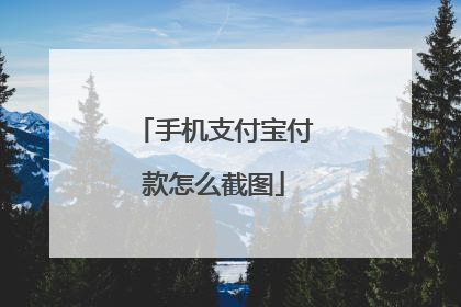 手机支付宝付款怎么截图