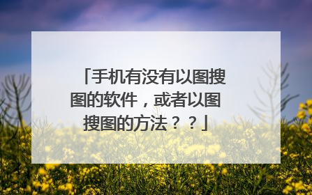手机有没有以图搜图的软件,或者以图搜图的方法??