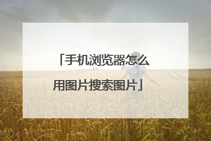 手机浏览器怎么用图片搜索图片
