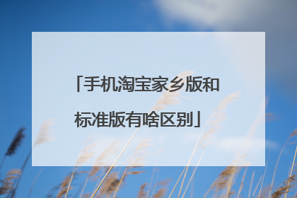 手机淘宝家乡版和标准版有啥区别