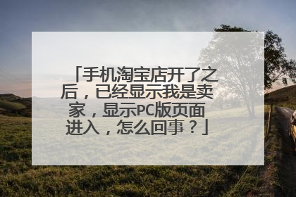 手机淘宝店开了之后，已经显示我是卖家，显示PC版页面进入，怎么回事？