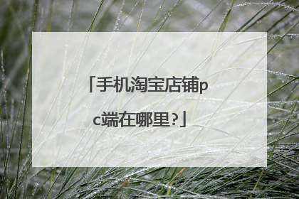 手机淘宝店铺pc端在哪里?