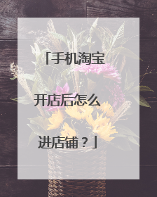 手机淘宝开店后怎么进店铺?
