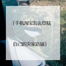 手机淘宝怎么登陆自己的卖家店铺