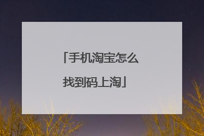 手机淘宝怎么找到码上淘