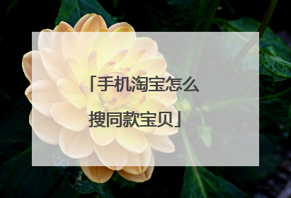 手机淘宝怎么搜同款宝贝