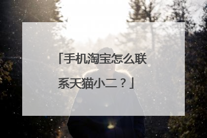 手机淘宝怎么联系天猫小二？