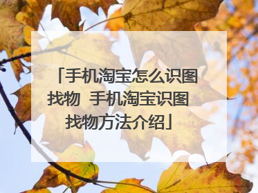 手机淘宝怎么识图找物 手机淘宝识图找物方法介绍