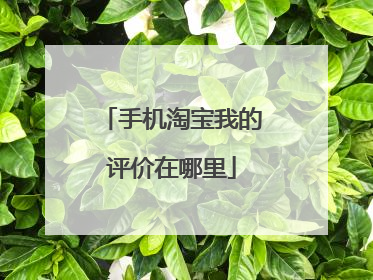 手机淘宝我的评价在哪里