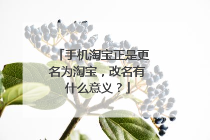 手机淘宝正是更名为淘宝,改名有什么意义?