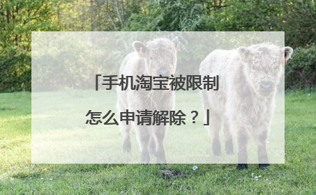手机淘宝被限制怎么申请解除?