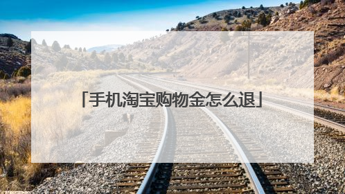 手机淘宝购物金怎么退