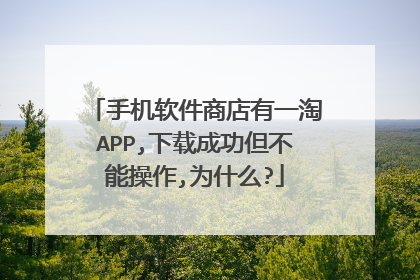 手机软件商店有一淘APP,下载成功但不能操作,为什么?