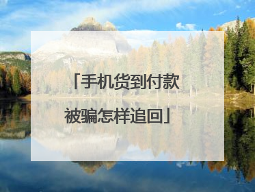 手机货到付款被骗怎样追回