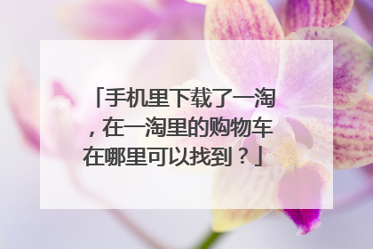 手机里下载了一淘,在一淘里的购物车在哪里可以找到?