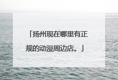 扬州现在哪里有正规的动漫周边店。