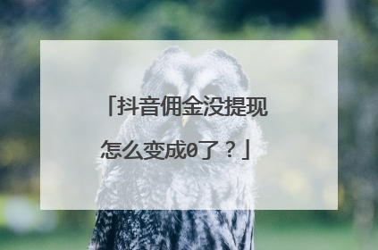 抖音佣金没提现怎么变成0了?