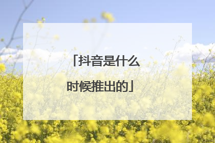 抖音是什么时候推出的