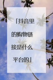 抖音里的购物链接是什么平台的