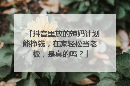 抖音里放的辣妈计划能挣钱,在家轻松当老板,是真的吗?