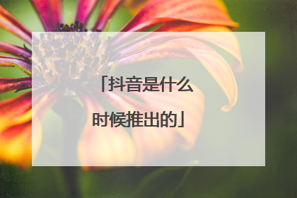 抖音是什么时候推出的
