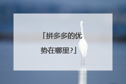拼多多的优势在哪里?