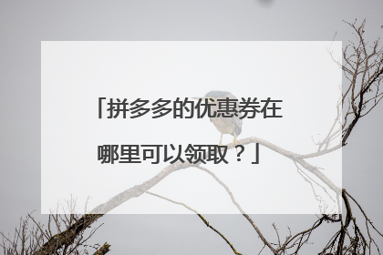 拼多多的优惠券在哪里可以领取?