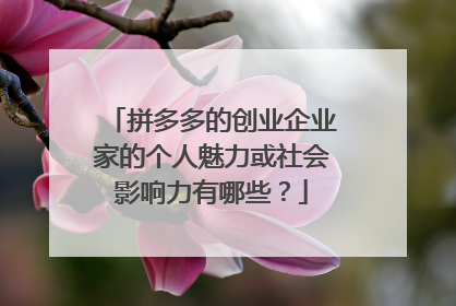 拼多多的创业企业家的个人魅力或社会影响力有哪些?