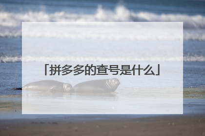 拼多多的查号是什么