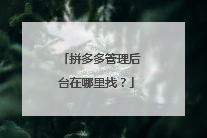 拼多多管理后台在哪里找?