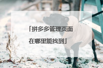 拼多多管理页面在哪里能找到