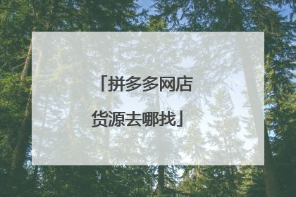 拼多多网店货源去哪找