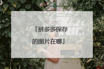 拼多多保存的图片在哪