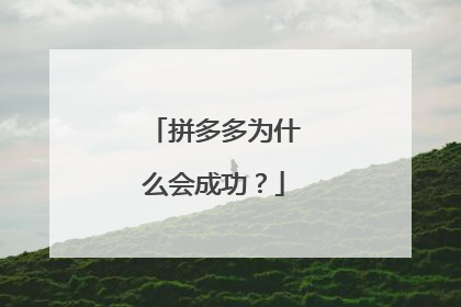 拼多多为什么会成功?