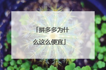 拼多多为什么这么便宜