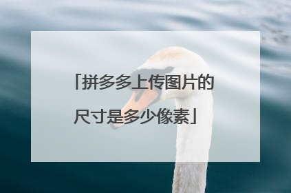 拼多多上传图片的尺寸是多少像素