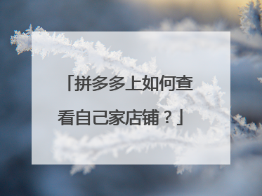 拼多多上如何查看自己家店铺?