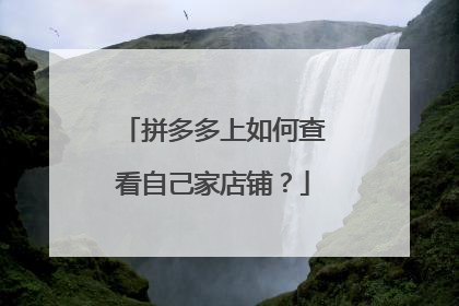 拼多多上如何查看自己家店铺?