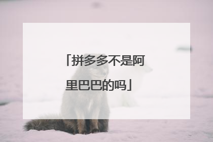 拼多多不是阿里巴巴的吗