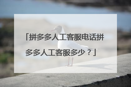 拼多多人工客服电话拼多多人工客服多少?