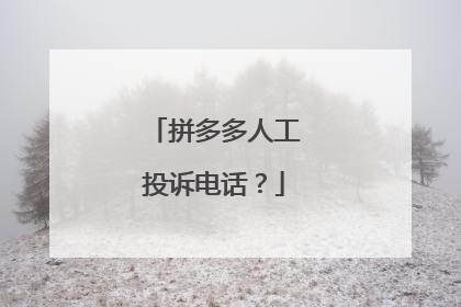 拼多多人工投诉电话?