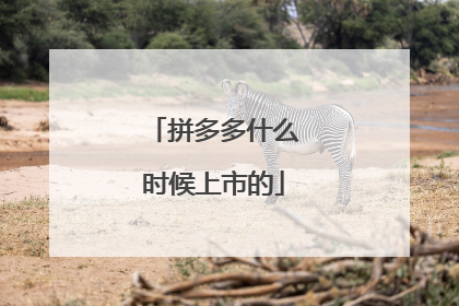 拼多多什么时候上市的
