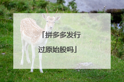 拼多多发行过原始股吗