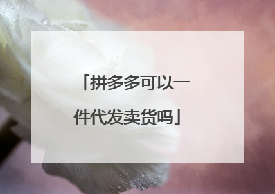 拼多多可以一件代发卖货吗