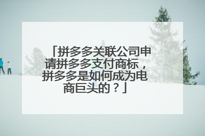 拼多多关联公司申请拼多多支付商标,拼多多是如何成为电商巨头的?